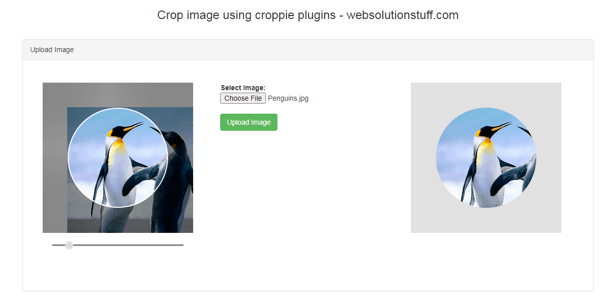 Crop_image_using_croppie_plugins