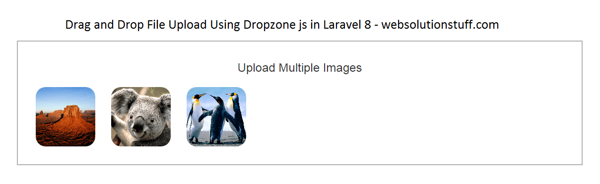 dropzone_image_upload_example_in_laravel_8